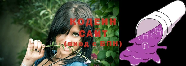 хмурый Армянск