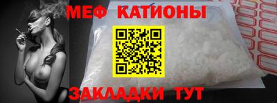 прущие грибы Ставрополь